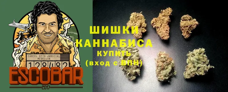 Бошки Шишки VHQ  где купить   Злынка 